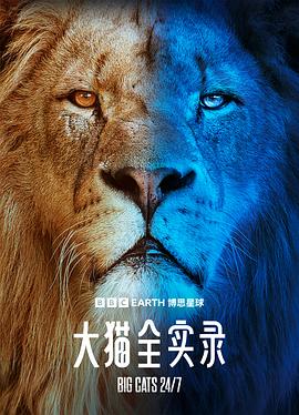 大貓全實錄海報