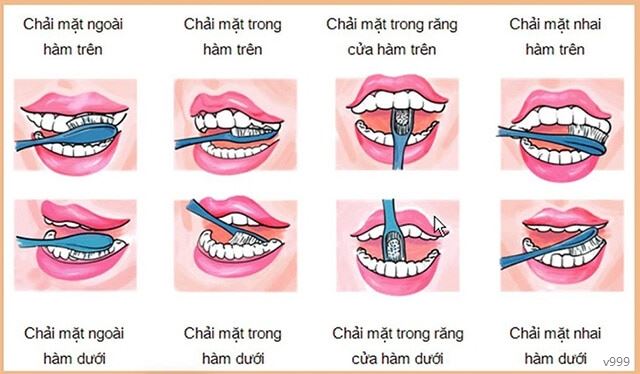 Hướng dẫn cách giữ vệ sinh răng miệng.