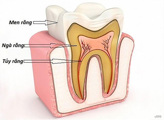 liệu pháp chữa tủy răng